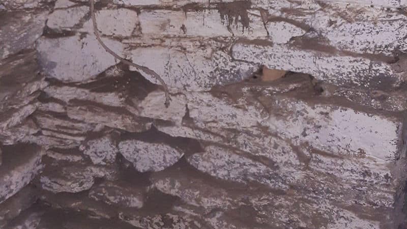 mur-avant-dcapage-christophe-aveyron-services-800x1422-800x450